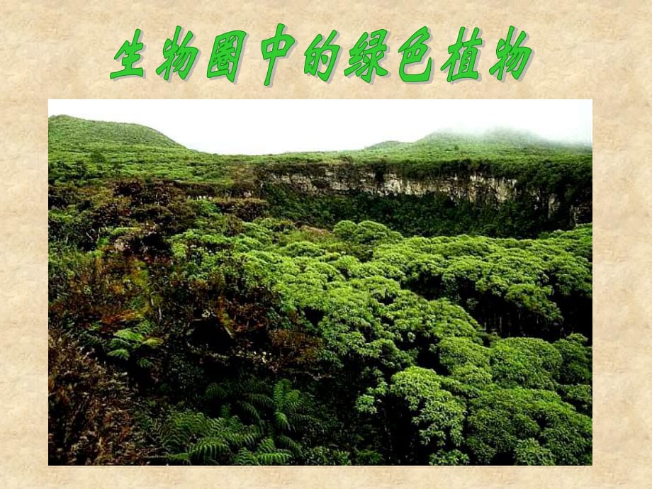 《藻類植物苔蘚植物》PPT課件.ppt_第1頁