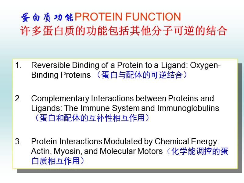 蛋白质结构与功能的关系.ppt_第2页