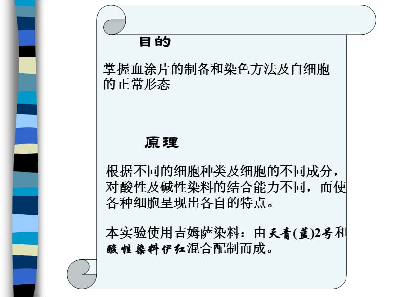 血涂片制备染色及白细胞形态观察.ppt_第2页