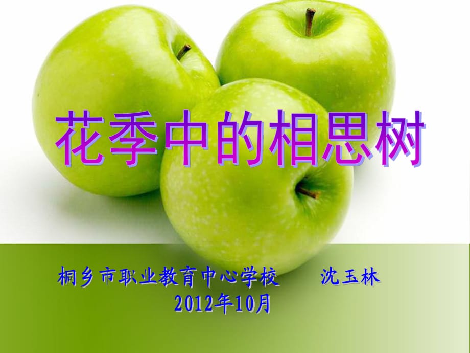 《花季中的相思树》PPT课件.ppt_第1页