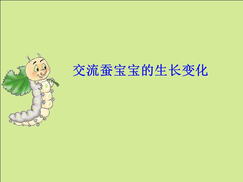 蚕的生长变化(好用).ppt_第2页