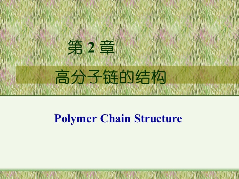 《高分子链的结构》PPT课件.ppt_第1页