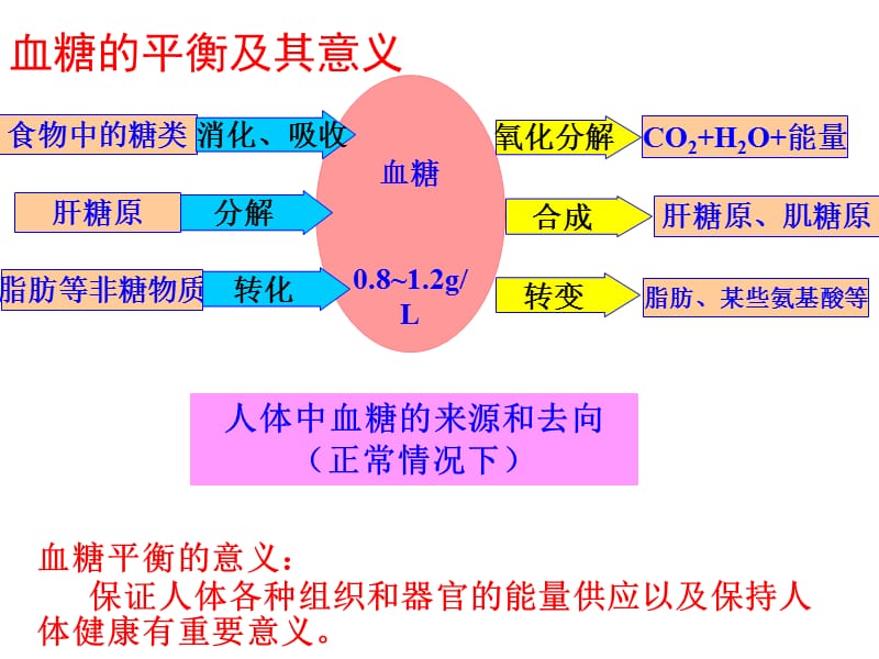 血糖调节的模型建构.ppt_第3页