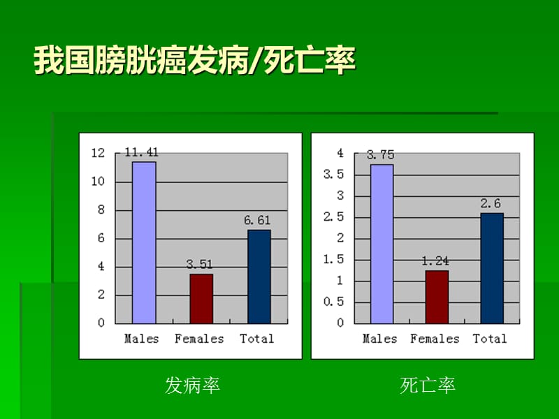 非肌层浸润性膀胱癌的诊断治疗.ppt_第3页