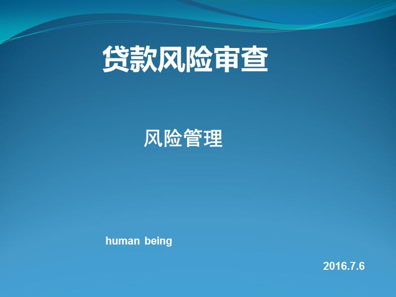 贷款风险审查原则、项目及要点.ppt_第1页