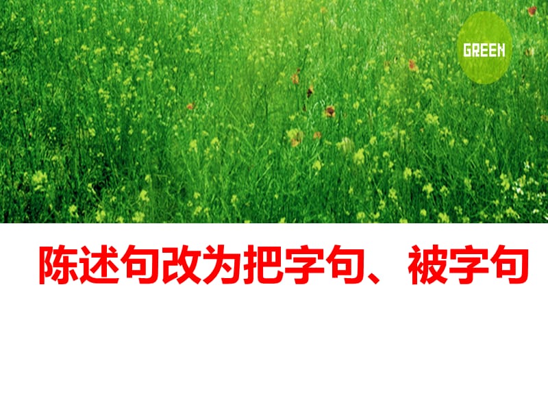 语文陈述句改把、被字句复习练习.ppt_第1页