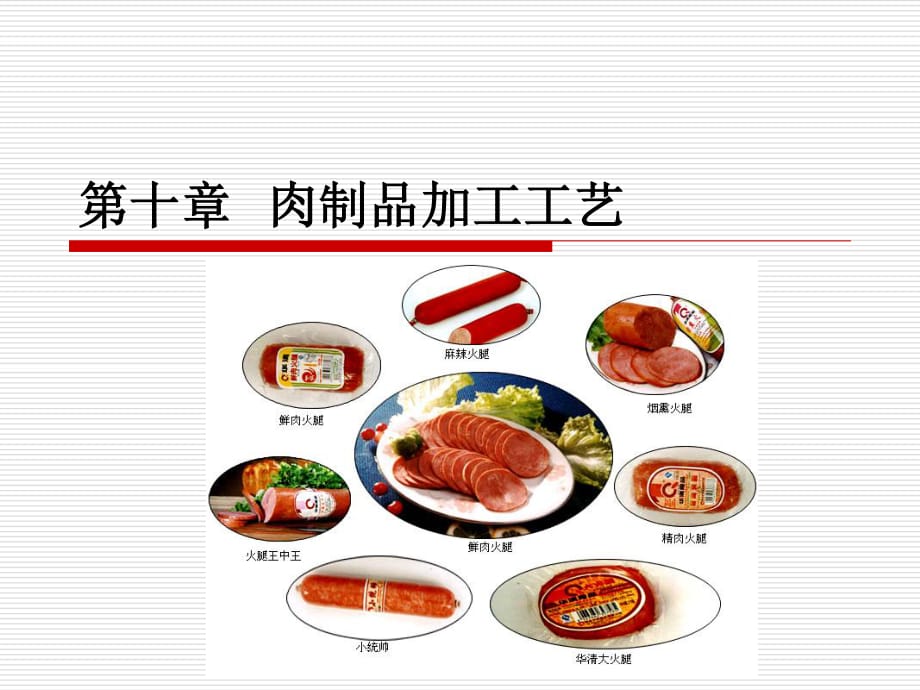 《肉制品加工工艺》PPT课件.ppt_第1页