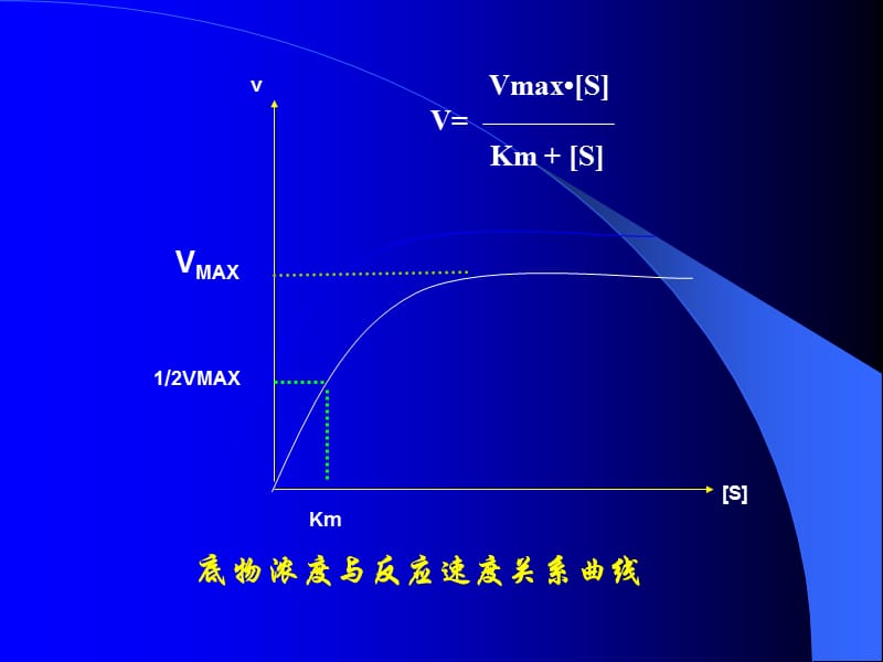 蔗糖酶米氏常数的测定.ppt_第2页