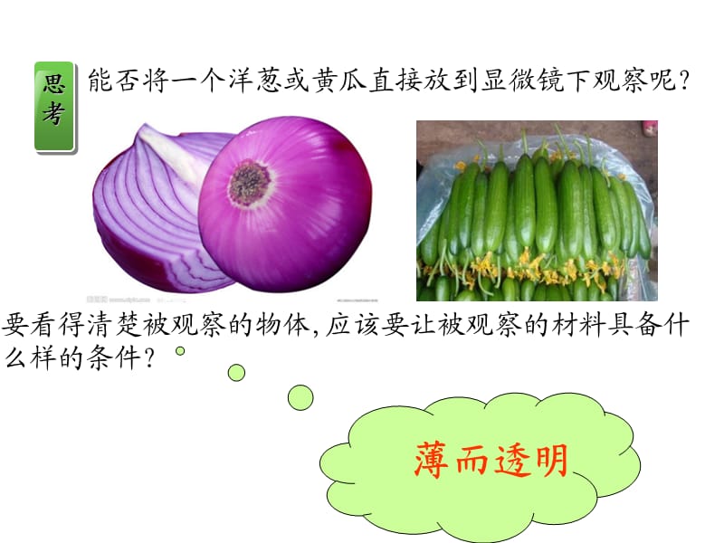 观察动植物细胞的结构实验.ppt_第2页