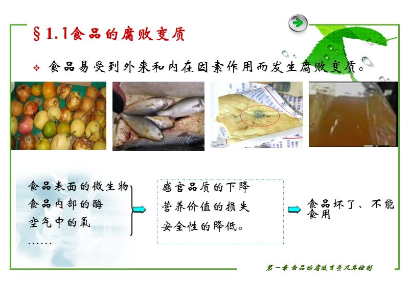 食品的腐败变质及控制.ppt_第3页