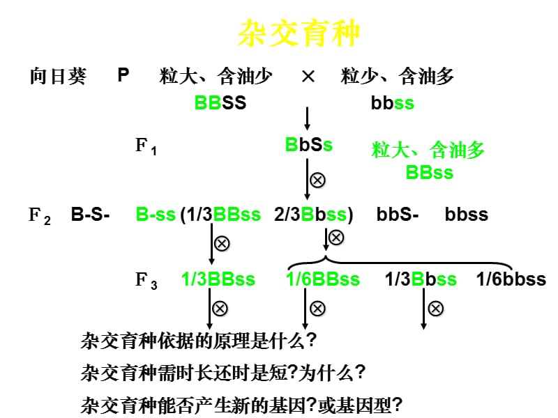 高二生物生物变异在生产上的应用.ppt_第3页