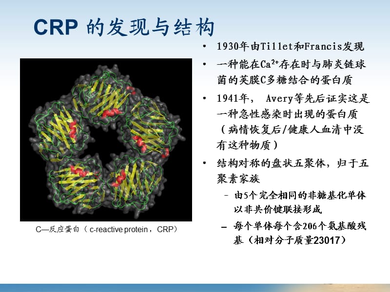 血常规和C-反应蛋白检测的临床意义.ppt_第2页