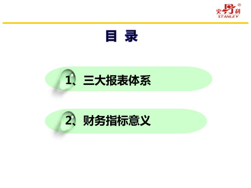 财务报表基本知识.ppt_第2页