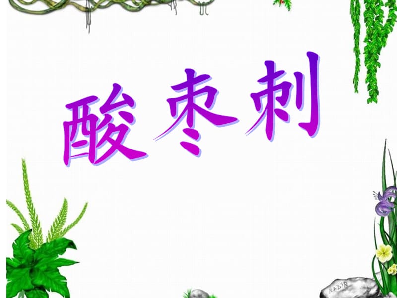 花城版二年级音乐课件《酸枣刺》.ppt_第1页