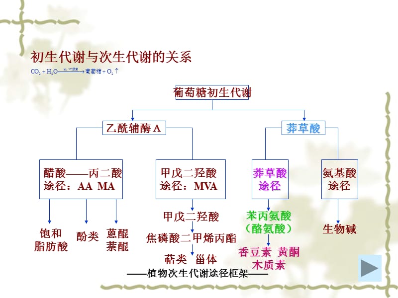 莽草酸途径刘延吉.ppt_第2页