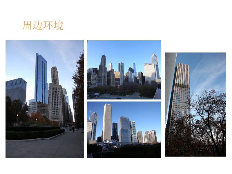 芝加哥千禧公园景观分析.ppt_第2页