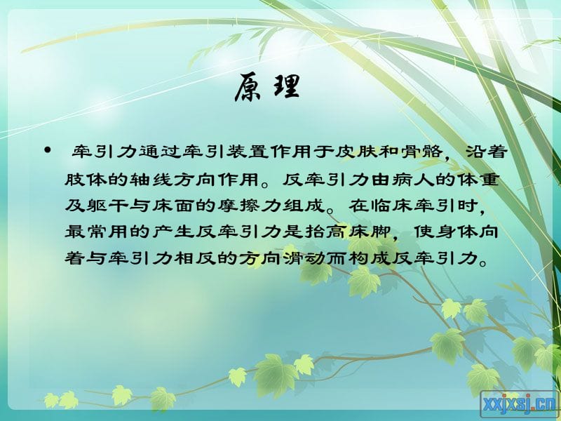 骨牵引病人的护理.ppt_第3页