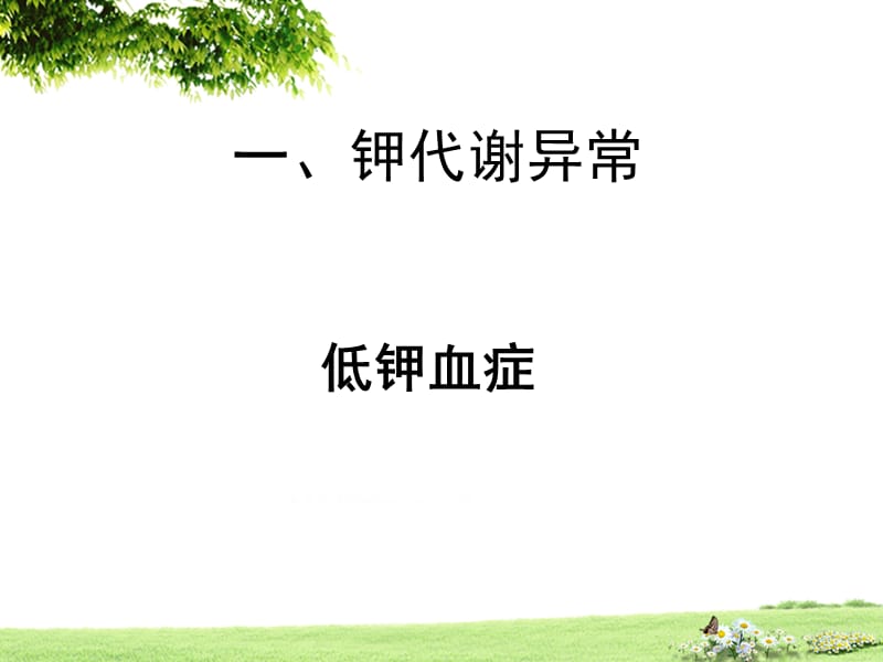 血钾异常病人的护理.ppt_第2页