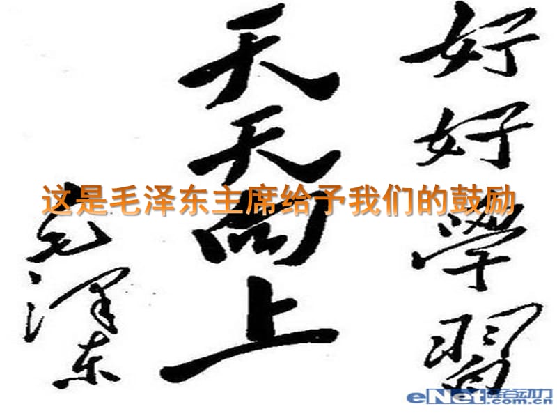 東風(fēng)西路小學(xué)四年八班中隊(duì)主題活動(dòng)好好學(xué)習(xí)天天向上.ppt_第1頁