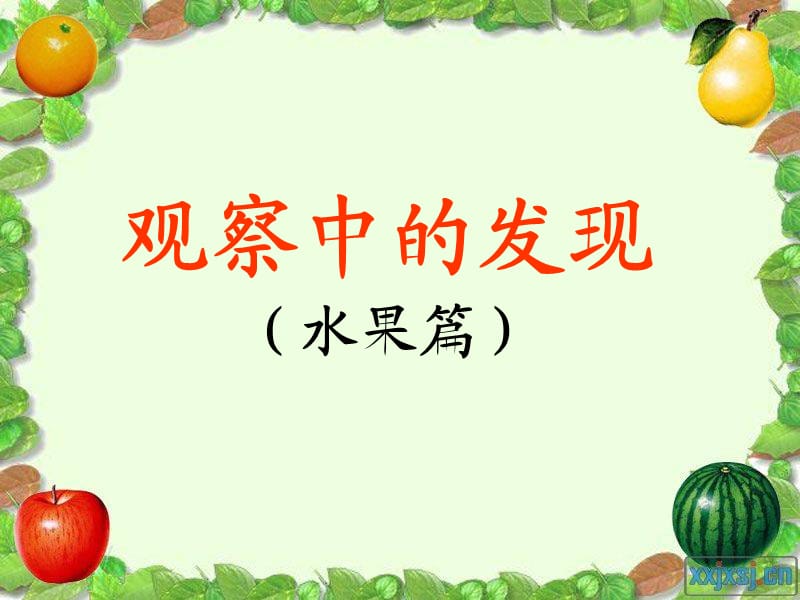 观察中的发现(水果篇).ppt_第1页