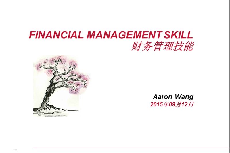 财务报表分析英文.ppt_第1页