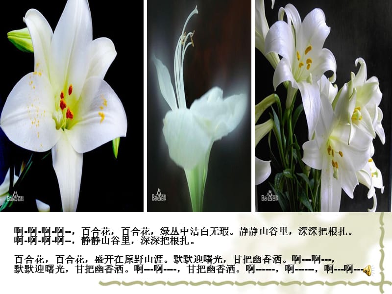 茹志鹃《百合花》课件.ppt_第1页