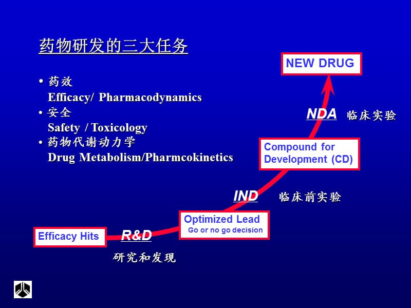 药代动力学在新药研发中的作用.ppt_第2页