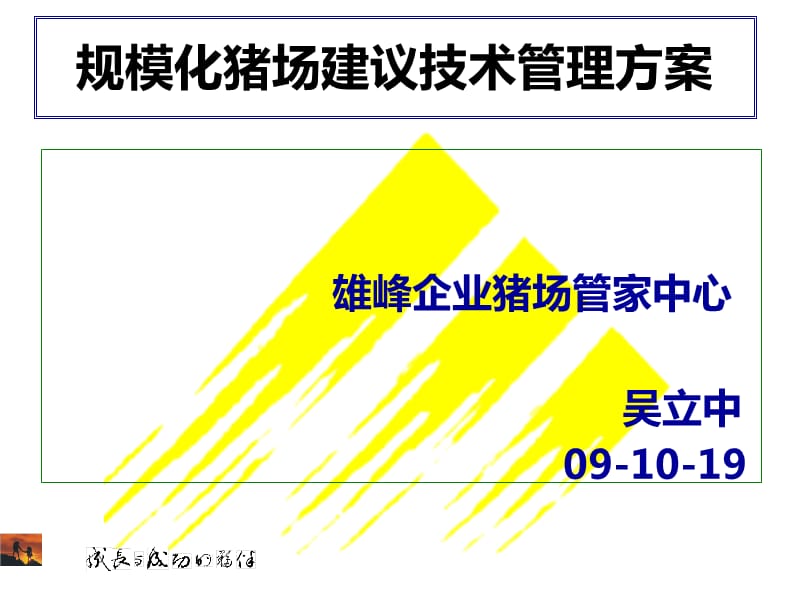 规模化猪场建议保健方案.ppt_第1页