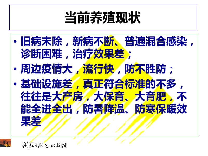 规模化猪场建议保健方案.ppt_第2页