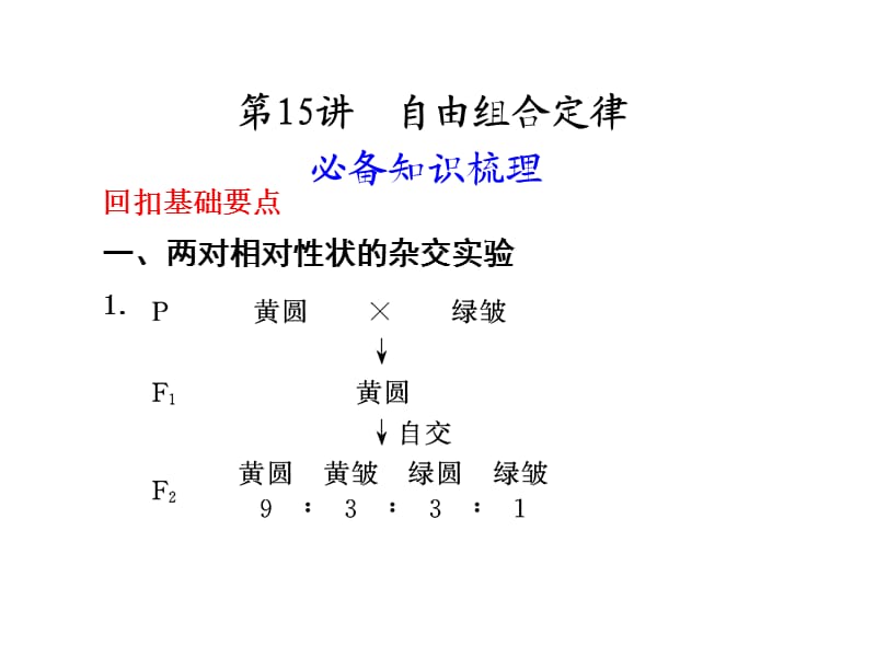 《自由组合定律》PPT课件.ppt_第1页