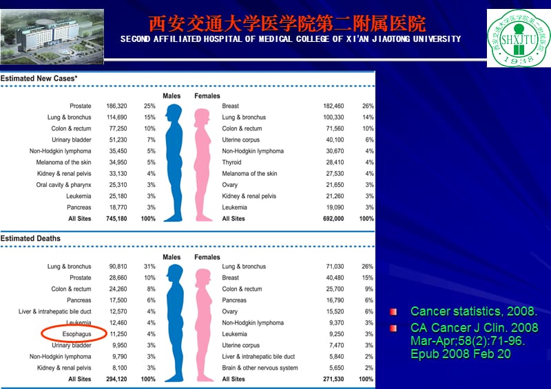 食管癌同步放化疗.ppt_第3页