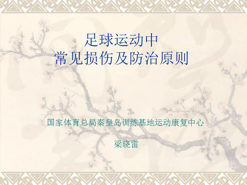 足球运动中的常见损伤及防治原则.ppt_第1页