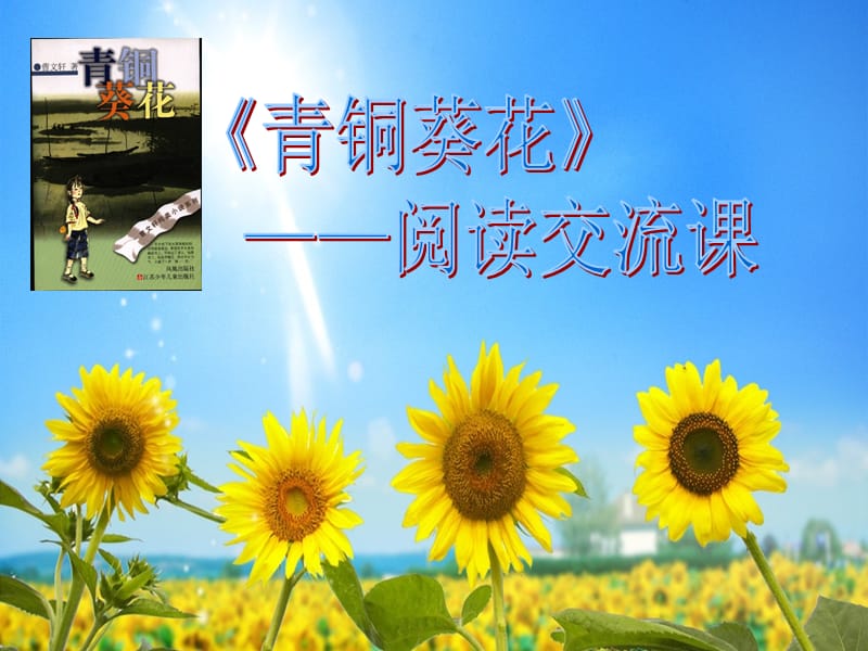 青铜葵花阅读交流课件.ppt_第1页