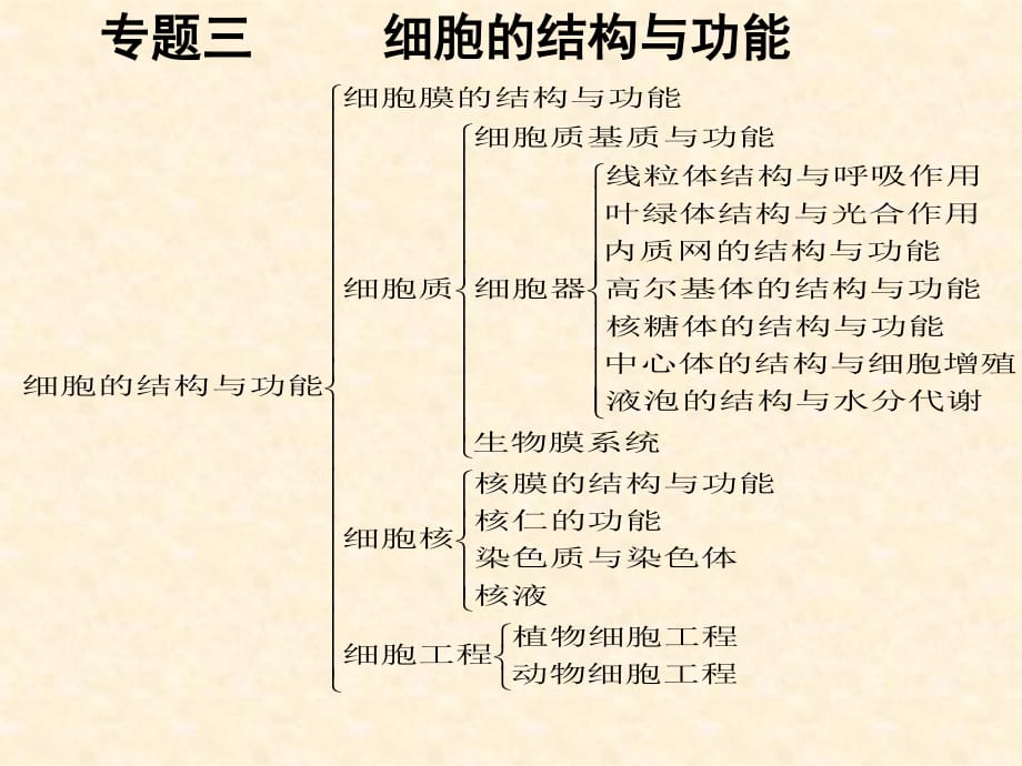 《細(xì)胞的結(jié)構(gòu)與功能》PPT課件.ppt_第1頁(yè)