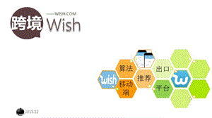 跨境電商Wish模式.ppt