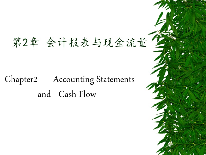 會計報表與現(xiàn)金流量.ppt_第1頁