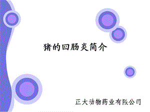 豬回腸炎豬回腸炎簡(jiǎn)介.ppt