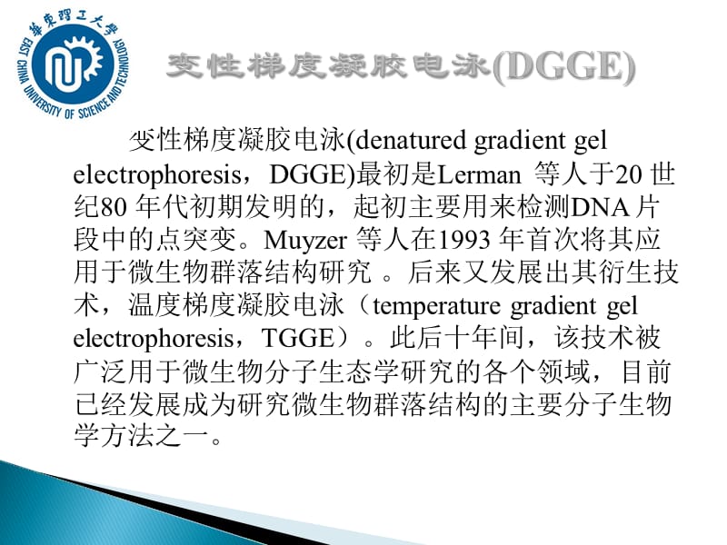 变性梯度凝胶电泳(PCR-DGGE)new.ppt_第2页