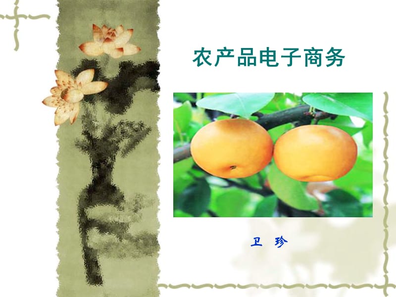 《農(nóng)產(chǎn)品電子商務(wù)》PPT課件.ppt_第1頁