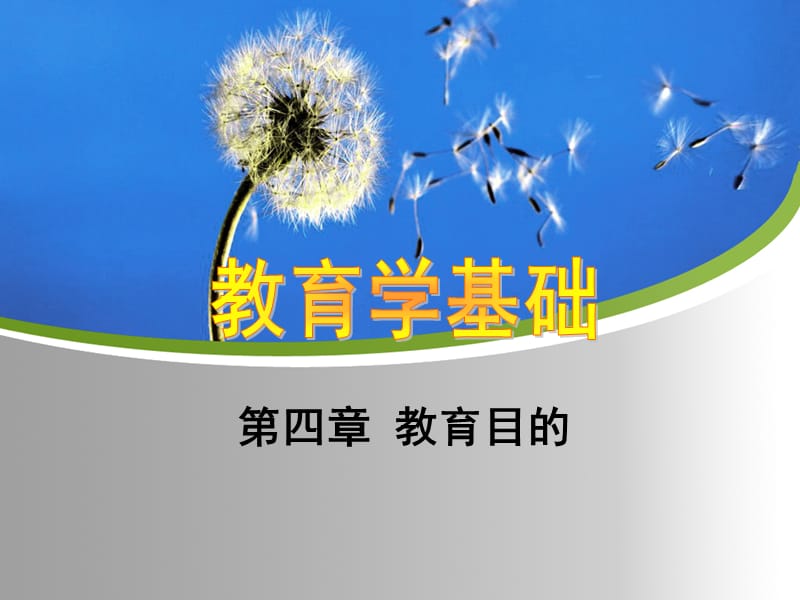 教育学基础(第四章).ppt_第1页