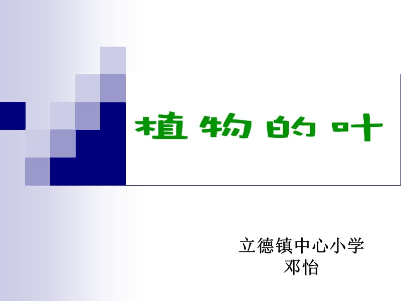 小學科學三年級上冊《植物的葉》.ppt_第1頁