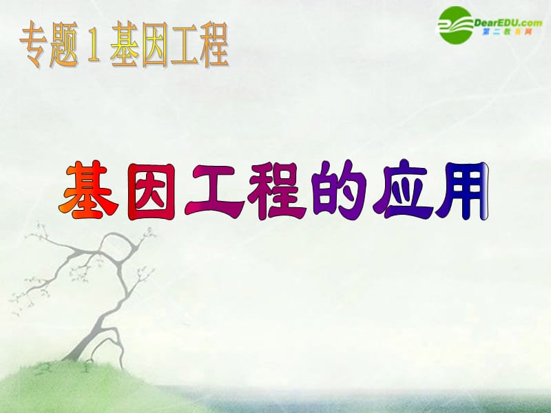 高中生物《基因工程的應(yīng)用》.ppt_第1頁