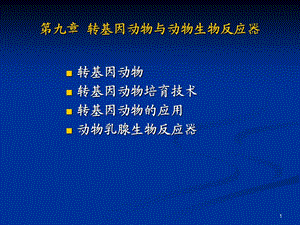 轉基因動物與動物生物反應器ppt課件