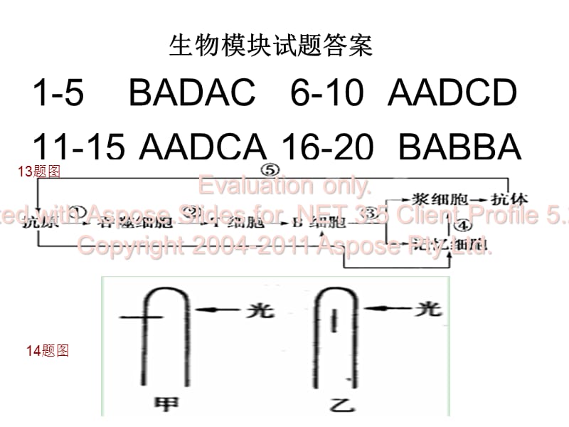 高中生物必修三期末试题答案.ppt_第1页