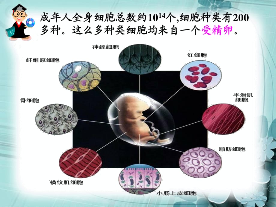 細(xì)胞的分化、癌變和衰老.ppt_第1頁