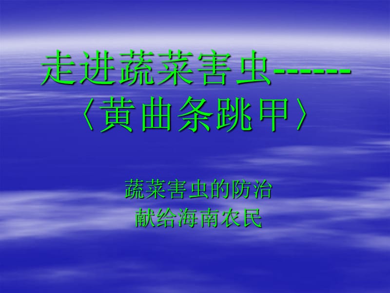 走進(jìn)蔬菜害蟲〈黃曲條跳甲〉.ppt_第1頁