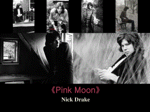 英语介绍-我最喜欢的音乐《pinkmoon》.ppt