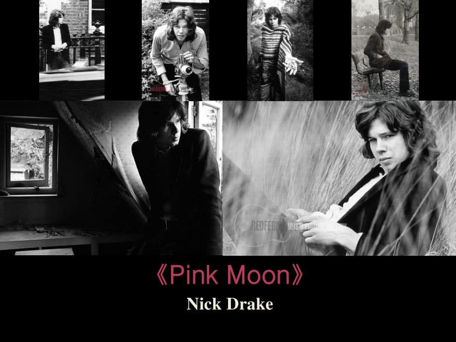 英语介绍-我最喜欢的音乐《pinkmoon》.ppt_第1页