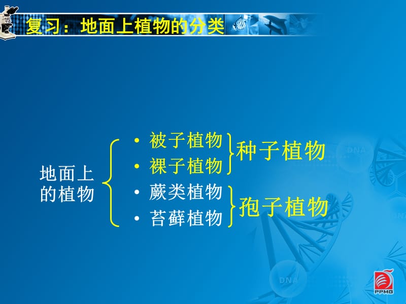 蕨類植物與苔蘚植物-教學(xué)課件.ppt_第1頁(yè)