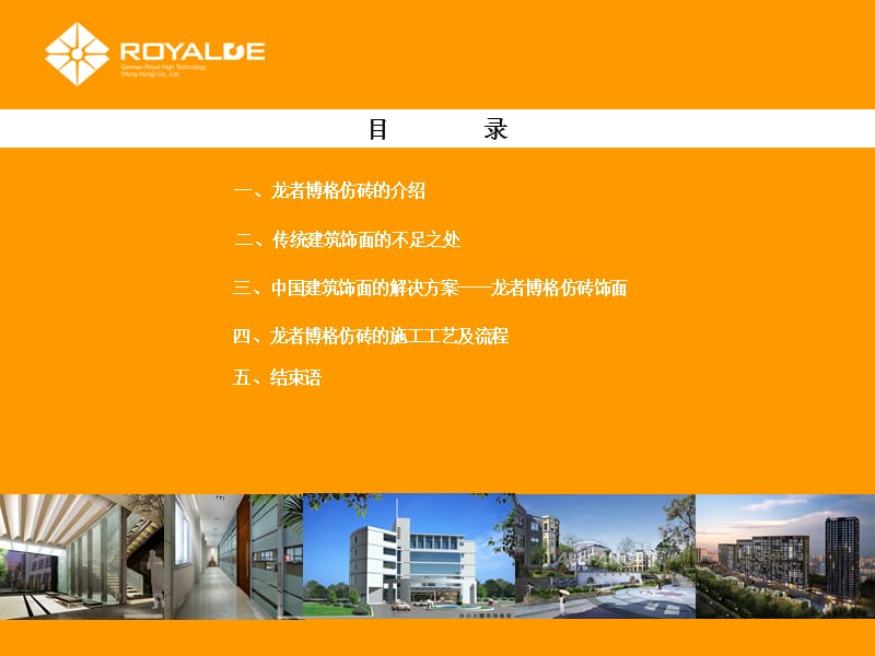 龙者博格砖产品介绍.ppt_第2页